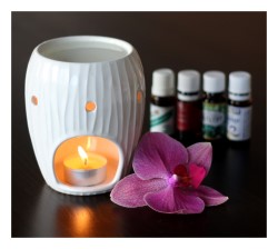 Zkušenosti a reference klientů